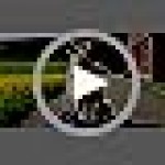 Dog Shoes for Hot Pavement Non-Slip Waterproof Dog Shoes for Medium Dogs Large Size Dogs Easy ON & Off Adjustable Easy-Clean for Beach Outdoor Black Size L: (2.95x2.2-2.55’’)(L*W)